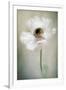 Single White-Jacky Parker-Framed Giclee Print