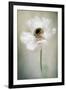 Single White-Jacky Parker-Framed Giclee Print