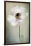 Single White-Jacky Parker-Framed Giclee Print