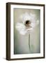 Single White-Jacky Parker-Framed Giclee Print