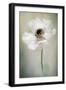 Single White-Jacky Parker-Framed Giclee Print