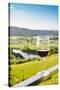 Single wine glass above vineyards, Piedmont, Italy, Europe-Alexandre Rotenberg-Stretched Canvas