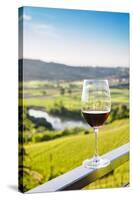 Single wine glass above vineyards, Piedmont, Italy, Europe-Alexandre Rotenberg-Stretched Canvas