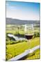 Single wine glass above vineyards, Piedmont, Italy, Europe-Alexandre Rotenberg-Mounted Photographic Print