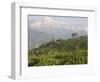 Singtom Tea Garden, Snowy and Cloudy Kandchengzonga Peak in Background, Darjeeling, Himalayas-Eitan Simanor-Framed Photographic Print