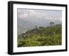 Singtom Tea Garden, Snowy and Cloudy Kandchengzonga Peak in Background, Darjeeling, Himalayas-Eitan Simanor-Framed Photographic Print