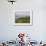 Singtom Tea Garden, Snowy and Cloudy Kandchengzonga Peak in Background, Darjeeling, Himalayas-Eitan Simanor-Framed Photographic Print displayed on a wall