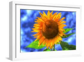 Singular Beauty-Robert Goldwitz-Framed Photographic Print