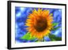 Singular Beauty-Robert Goldwitz-Framed Photographic Print