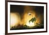 Singular Scenery-Mikael Svensson-Framed Giclee Print