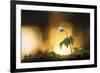 Singular Scenery-Mikael Svensson-Framed Giclee Print