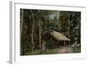 Sinhalese Village Hut in Sri Lanka-null-Framed Photographic Print