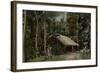 Sinhalese Village Hut in Sri Lanka-null-Framed Photographic Print