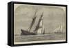 Sinking of a Collier Off Lowestoft, the Yacht Violet at Hand-null-Framed Stretched Canvas