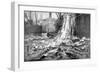 Sinking of the Merchant Ship 'Stamboul, Istanbul Harbour. May 25th 1915-null-Framed Giclee Print