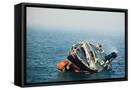 Framed Canvas