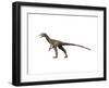 Sinocalliopteryx Dinosaur-null-Framed Art Print