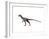 Sinocalliopteryx Dinosaur-null-Framed Art Print