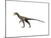 Sinocalliopteryx Dinosaur-null-Mounted Art Print