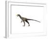 Sinocalliopteryx Dinosaur-null-Framed Art Print