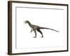 Sinocalliopteryx Dinosaur-null-Framed Art Print