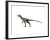 Sinocalliopteryx Dinosaur-null-Framed Art Print