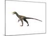 Sinocalliopteryx Dinosaur-null-Mounted Art Print