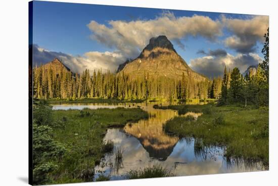 Sinopah Mountain Reflects in Beaver Pond in Two Medicine Valley in Glacier National Park, Montana-Chuck Haney-Stretched Canvas