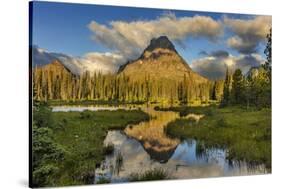 Sinopah Mountain Reflects in Beaver Pond in Two Medicine Valley in Glacier National Park, Montana-Chuck Haney-Stretched Canvas