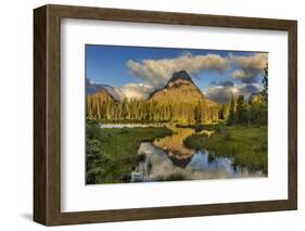 Sinopah Mountain Reflects in Beaver Pond in Two Medicine Valley in Glacier National Park, Montana-Chuck Haney-Framed Photographic Print