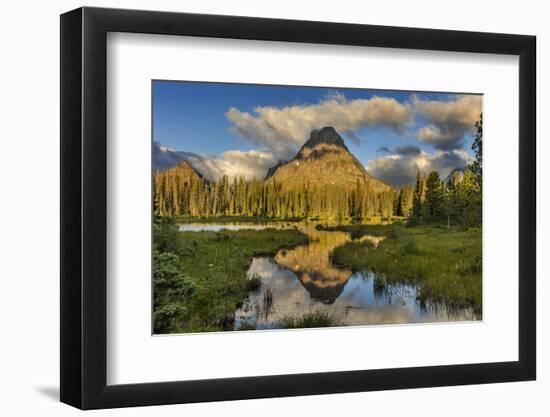 Sinopah Mountain Reflects in Beaver Pond in Two Medicine Valley in Glacier National Park, Montana-Chuck Haney-Framed Photographic Print