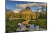 Sinopah Mountain Reflects in Beaver Pond in Two Medicine Valley in Glacier National Park, Montana-Chuck Haney-Mounted Photographic Print