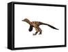 Sinornithosaurus Dinosaur-null-Framed Stretched Canvas