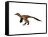 Sinornithosaurus Dinosaur-null-Framed Stretched Canvas
