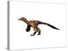 Sinornithosaurus Dinosaur-null-Stretched Canvas