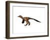 Sinornithosaurus Dinosaur-null-Framed Art Print