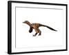 Sinornithosaurus Dinosaur-null-Framed Art Print