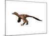 Sinornithosaurus Dinosaur-null-Mounted Art Print