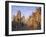 Sint Niklaaskerk and Sint Baafs Kathedraal Ghent, East Flanders, Belgium-Alan Copson-Framed Photographic Print