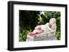 Sintra, Portugal. Monserrate Palace-Julien McRoberts-Framed Photographic Print