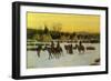 Sioux Camp at Wounded Knee, 1904-null-Framed Giclee Print