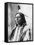 Sioux Chief, C1898-Adolph F^ Muhr-Framed Stretched Canvas