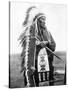 Sioux Chief, C1905-Edward S^ Curtis-Stretched Canvas