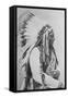 Sioux Chief Sitting Bull-Stocktrek Images-Framed Stretched Canvas