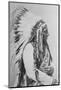 Sioux Chief Sitting Bull-Stocktrek Images-Mounted Premium Photographic Print