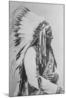 Sioux Chief Sitting Bull-Stocktrek Images-Mounted Photographic Print
