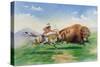 Sioux Hunting Buffalo on Decorated Pony-null-Stretched Canvas