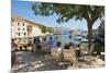 Sipan Island Tourists, Elaphiti Islands (Elaphites), Dalmatian Coast, Adriatic, Croatia, Europe-Matthew Williams-Ellis-Mounted Photographic Print