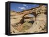 Sipapu Bridge, Natural Bridges National Monument, Utah, United States of America, North America-Gary Cook-Framed Stretched Canvas