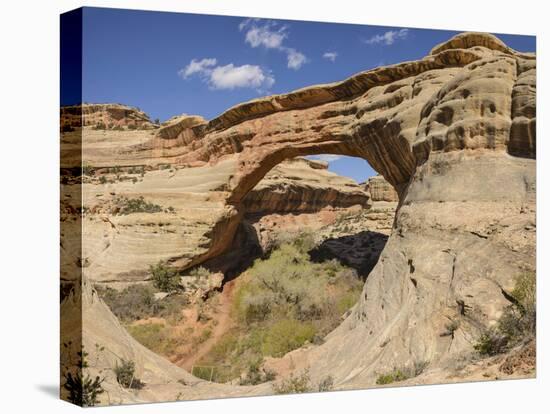 Sipapu Bridge, Natural Bridges National Monument, Utah, United States of America, North America-Gary Cook-Stretched Canvas